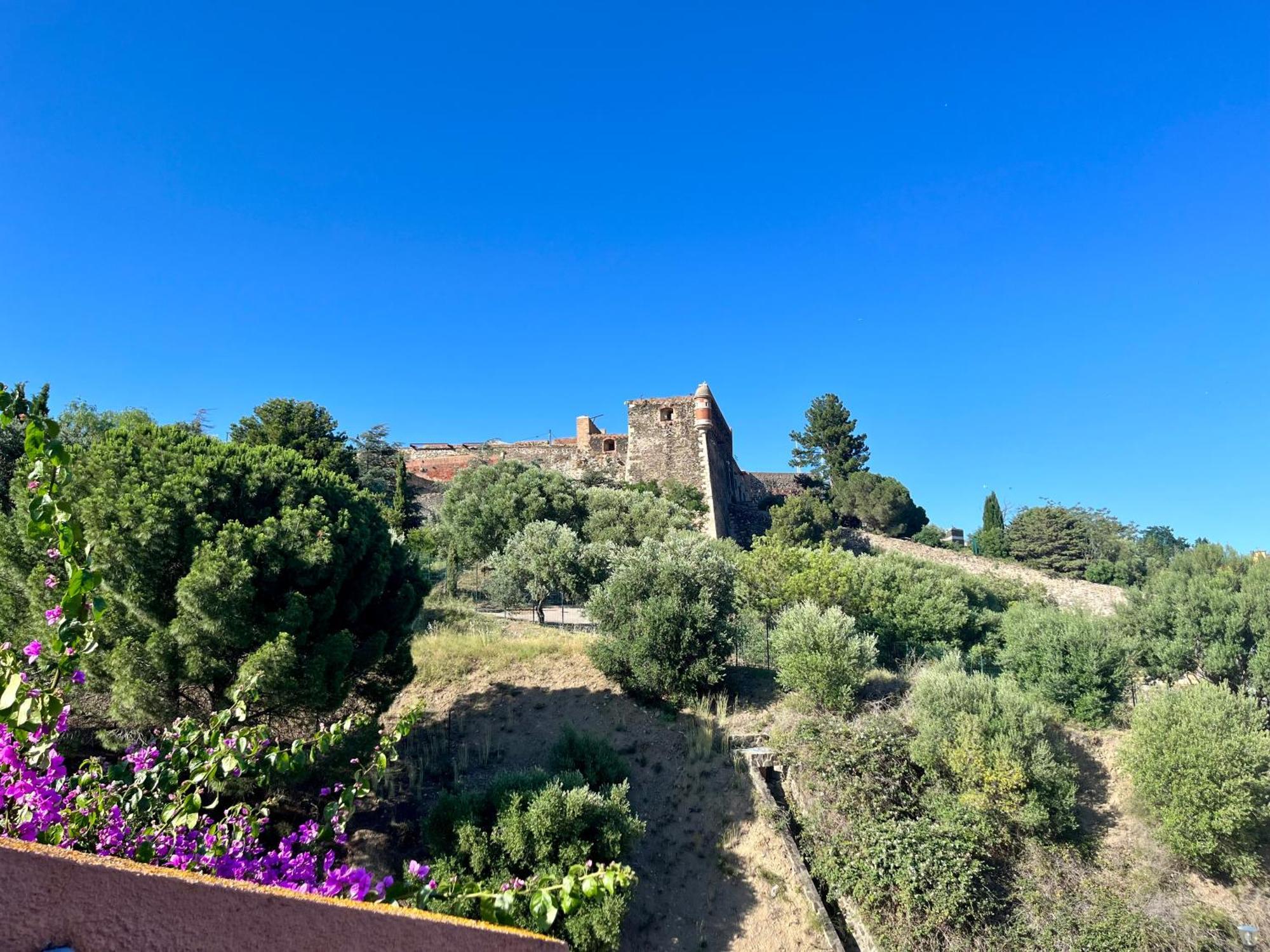 Appartement Collioure, Grande Terrasse Et Parking 外观 照片