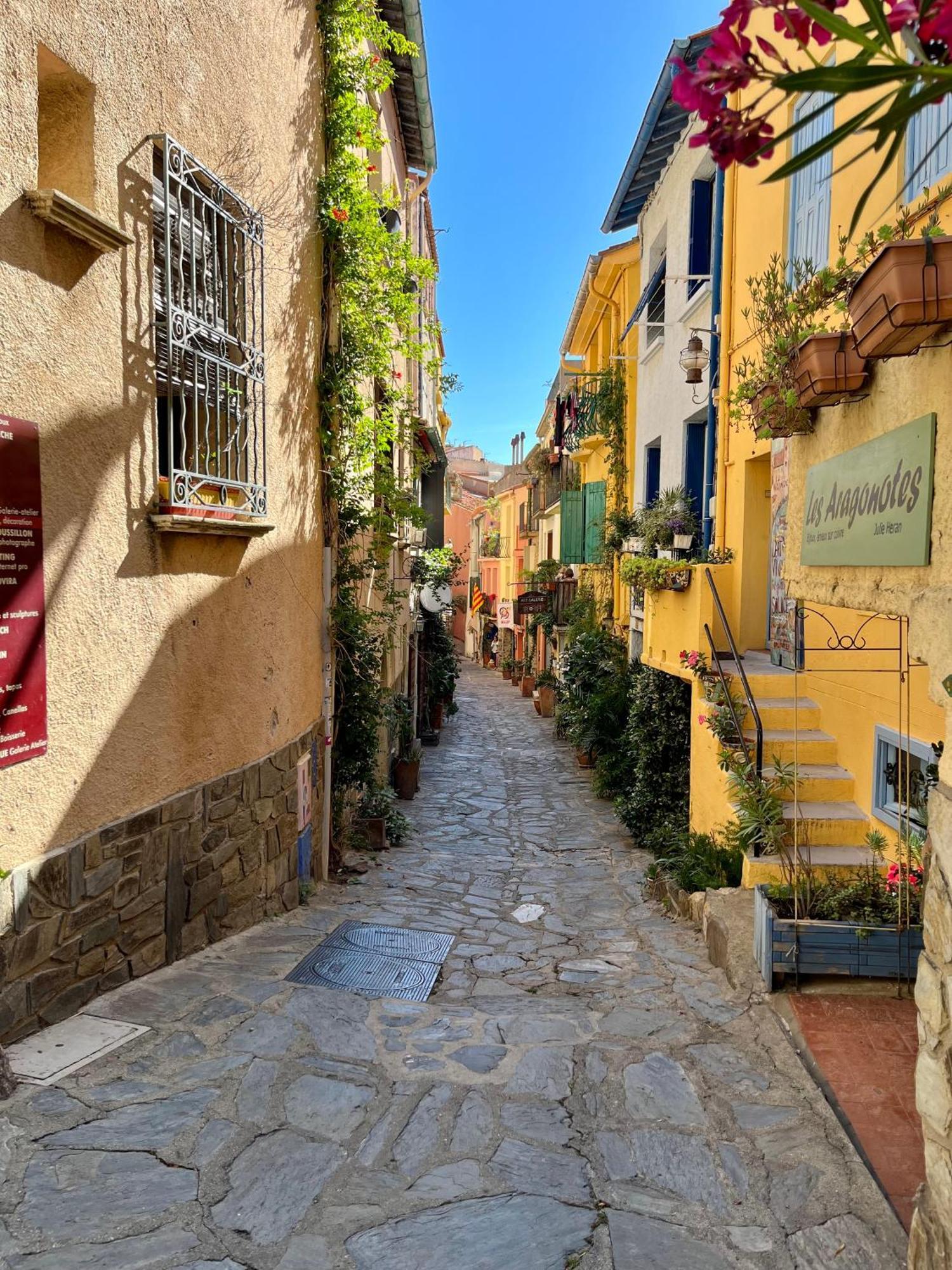 Appartement Collioure, Grande Terrasse Et Parking 外观 照片